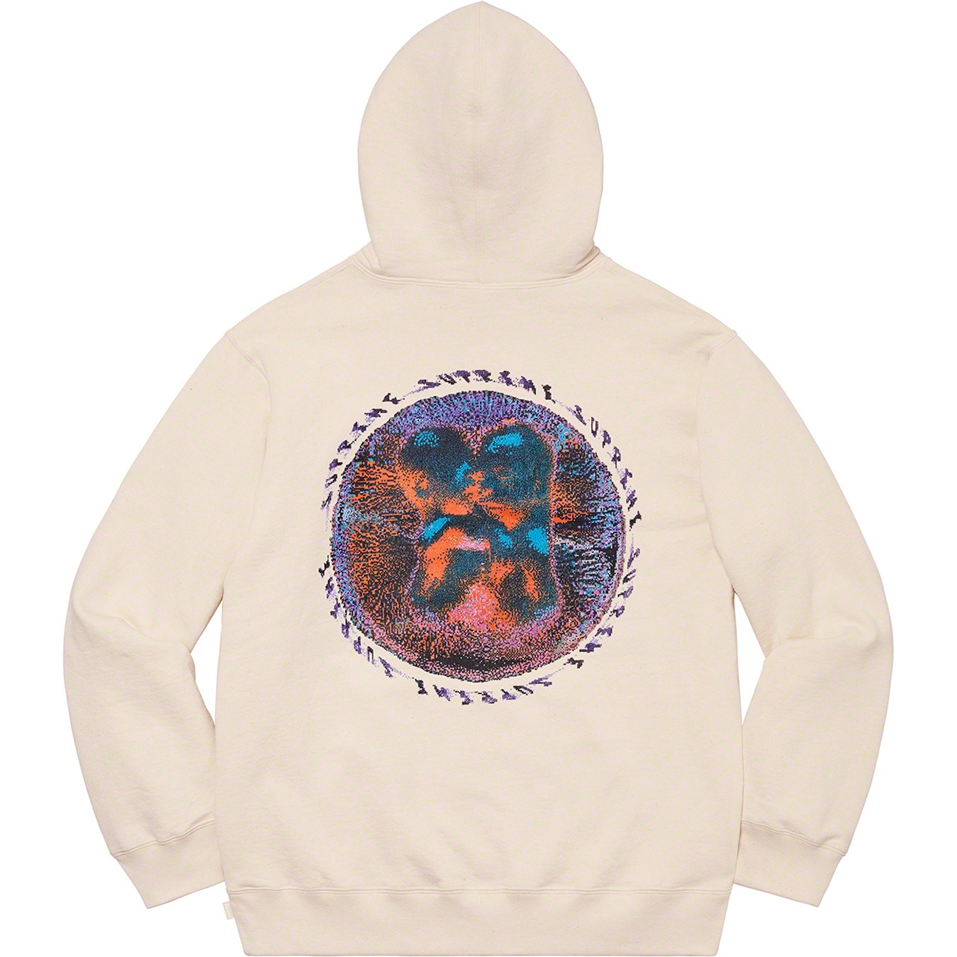 Embryo Hooded Sweatshirt view 14